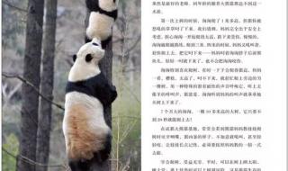 关于国宝大熊猫的资料 大熊猫资料大全